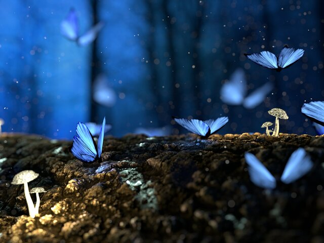 Fantasy Butterflies